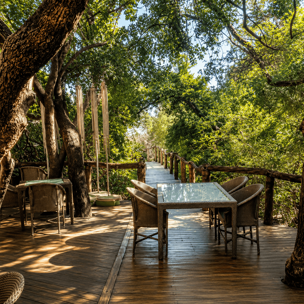 GABORONE ↔ MADIKWE GAME RESERVE (1 – 4 passengers) - Image 3